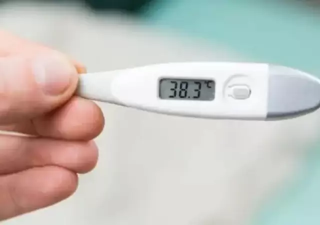 Influenza B, el virus respiratorio por el que muri� una nena de 13 a�os