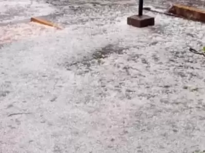 Video: fuerte precipitaci�n de granizo sorprendi� a los vecinos en el Valle de Uco
