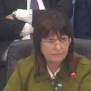 Patricia Bullrich: "No vinimos a dejar las cosas como estaban"