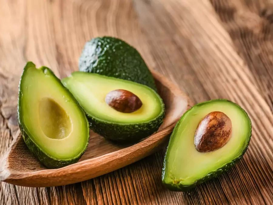 Palta