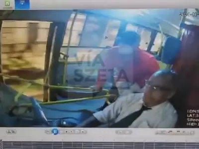 Captura de pantalla.