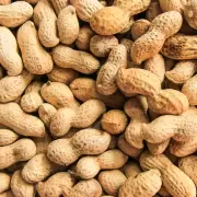 Los secretos del maní: proteínas, antioxidantes y salud del corazón