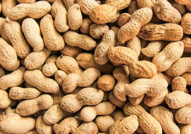 Un alimento que encierra muchos secretos