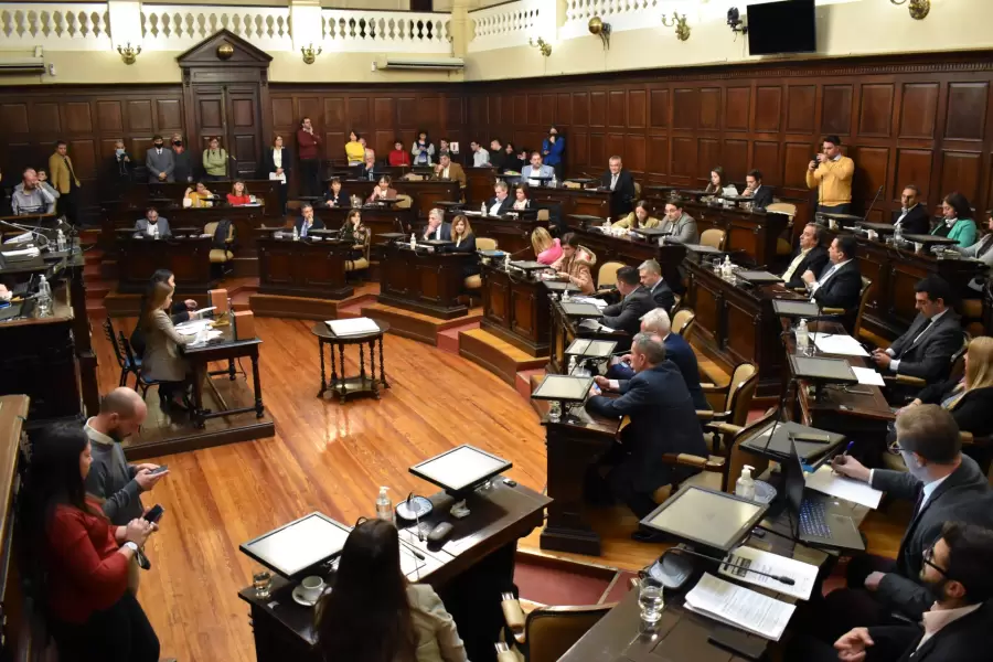 El proyecto ingresa por la C�mara de Diputados