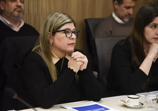 Veronica Razzini habl� de los pr�ximos proyectos de la C�mara de Diputados.