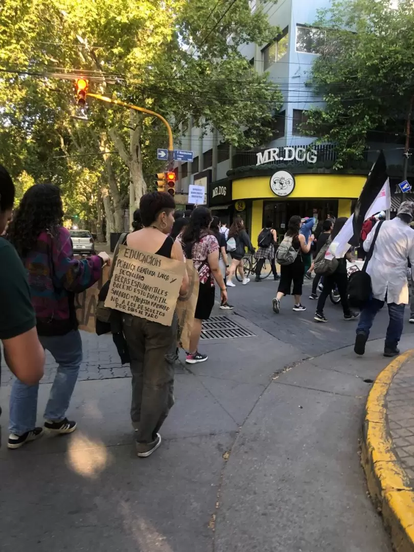 Marcha universitaria