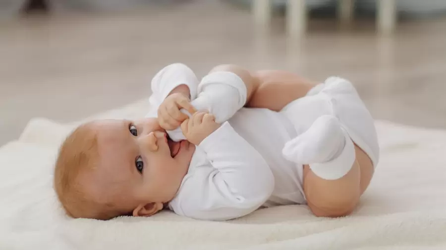 bebe