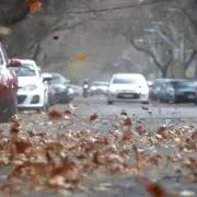 Granizo y viento Zonda amenazan el D�a de la Madre