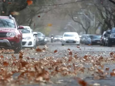 Granizo y viento Zonda amenazan el D�a de la Madre