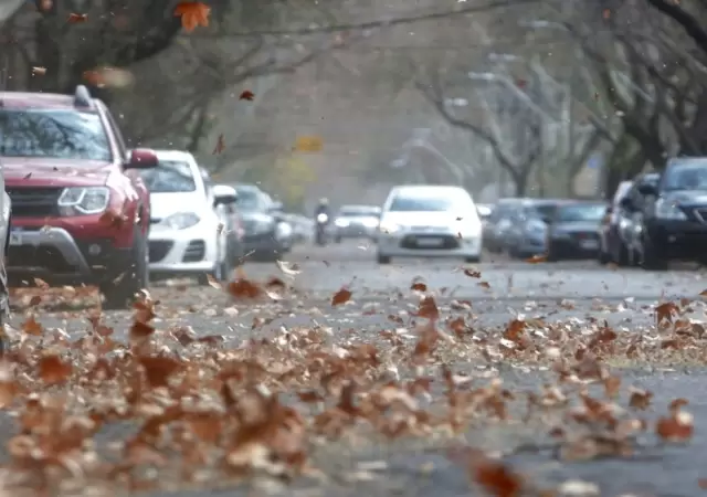 Granizo y viento Zonda amenazan el D�a de la Madre