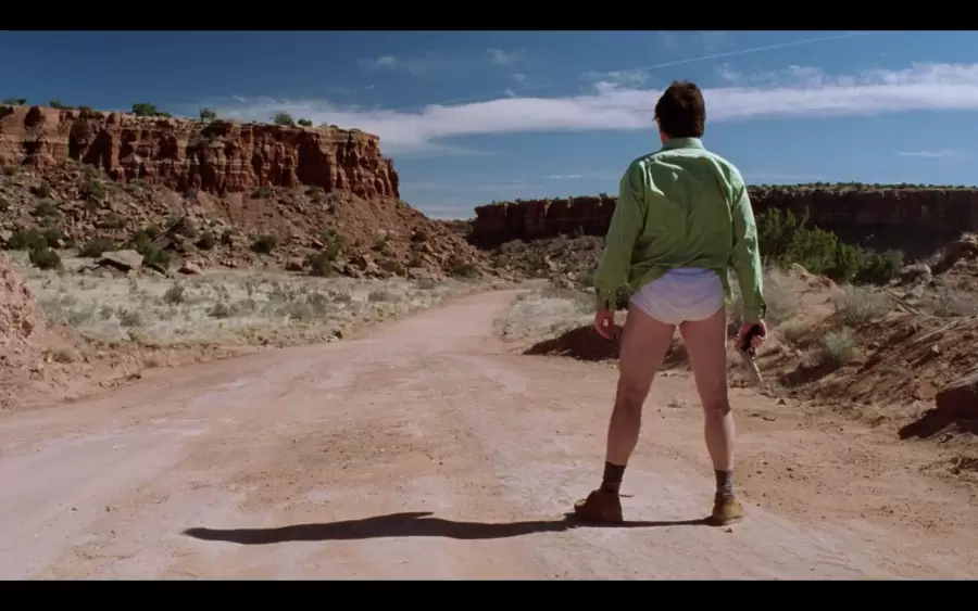 Walter White