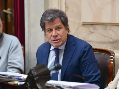 Facundo Manes.
