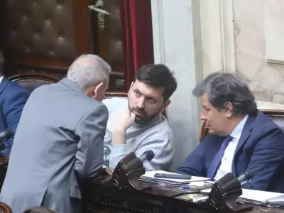 Diputados UCR.