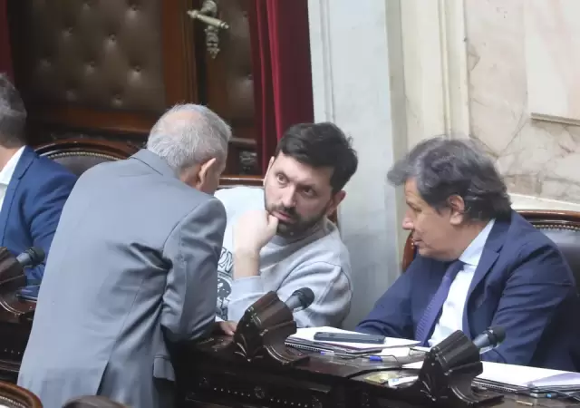 Diputados UCR.