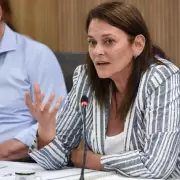 El proyecto de una legisladora peronista que busca reactivar la obra p�blica: �qu� dijo la UCR y LLA?