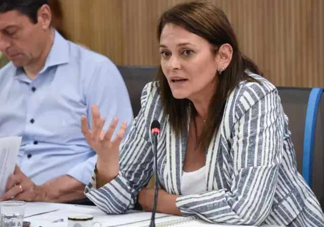 Liliana Paponet, diputada nacional de UxP.