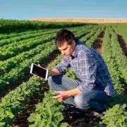 Informe de CONINAGRO: m�s del 85% de las econom�as regionales est�n en riesgo y no crecen