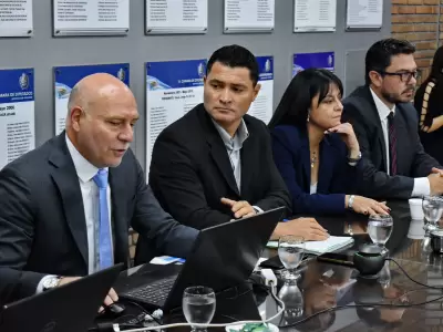 Dalmiro Garay en Diputados