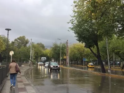 Las precipitaciones en Mendoza se observaron durante la madrugada y la ma�ana del martes 25 de marzo.