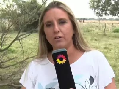 La periodista Paula Bernini declar� en la causa que investiga la desaparici�n de Loan Pe�a en Corrientes