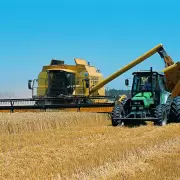Escenario alentador para la agroindustria argentina: �cu�les son las claves?