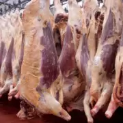 El mejor momento de la exportaci�n de carne en m�s de medio siglo
