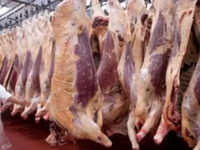 carne vacuna