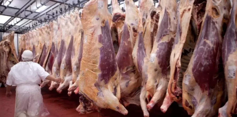 carne vacuna