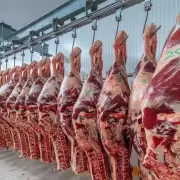 Primer cargamento de carne argentina para El Salvador