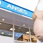 Capital Humano detect� 203 casos de embarazos falsos para cobrar asignaciones