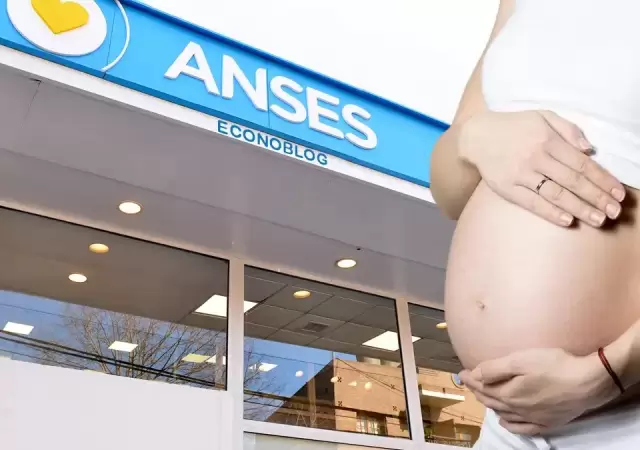 Capital Humano detect� 203 casos de embarazos falsos para cobrar asignaciones