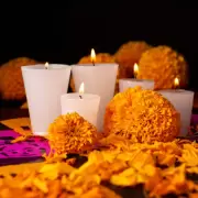Flor de cempasúchil: el símbolo de amor eterno en el Día de Muertos