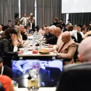 El Gobierno deber� negociar para lograr que Aerol�neas Argentinas pase a manos privadas