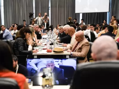Tratamienteo de la privatizaci�n en comisiones   /