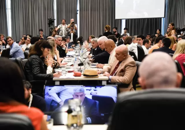 Tratamienteo de la privatizaci�n en comisiones   /