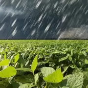 La Ni�a se va sin pena ni gloria y abrir�an paso tres meses de lluvias