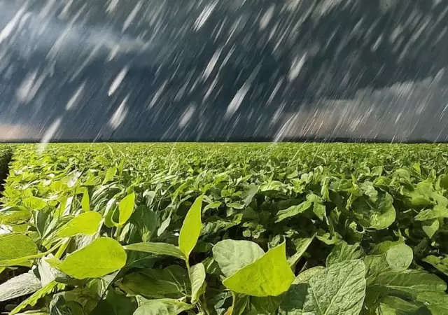 La Nia se va sin pena ni gloria y abriran paso tres meses de lluvias