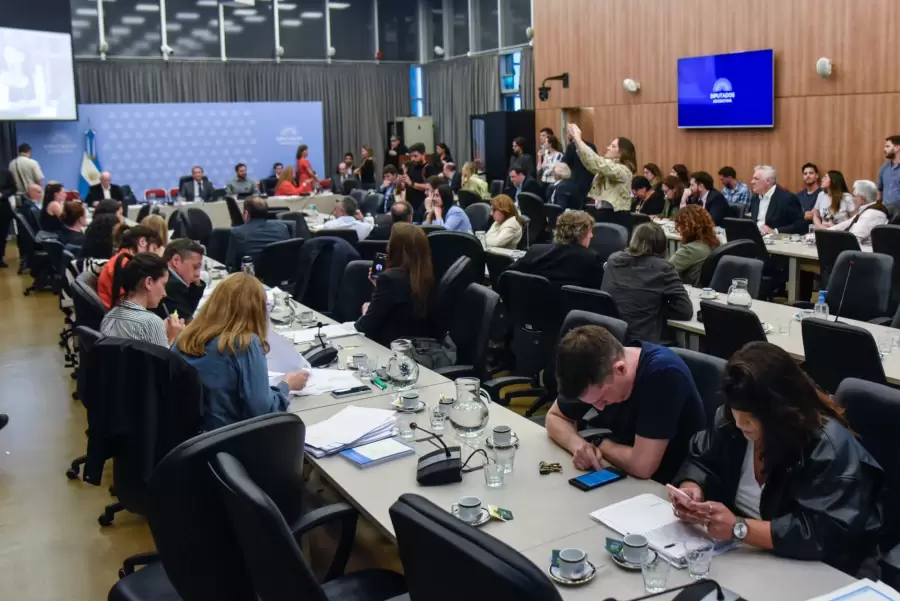 La comisi�n de Diputados