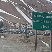 Quejas por demoras en el paso internacional Cristo Redentor