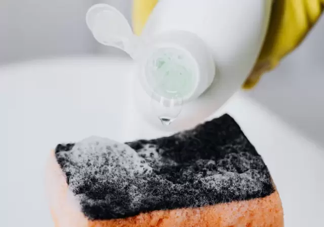 Esponja de cocina