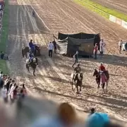 Hay video: luego de un accidente, fue sacrificado un caballo de carrera en Rosario