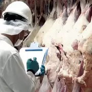 Las exportaciones de carne rompieron la marca de los �ltimos 57 a�os