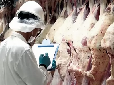Te contamos sobre los destinos que hacen romper el r�cord de exportaciones nacionales.