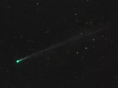 Cometa C/2024 S1