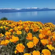 Descubrí una joya oculta en la Patagonia argentina