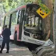 Video: falla en los frenos de un micro causa la muerte de un chofer y deja 17 heridos