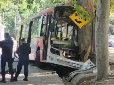 Accidente en el Parque San Mart�n, donde el chofer muri� ayer domingo 10 de noviembre de 2024.
