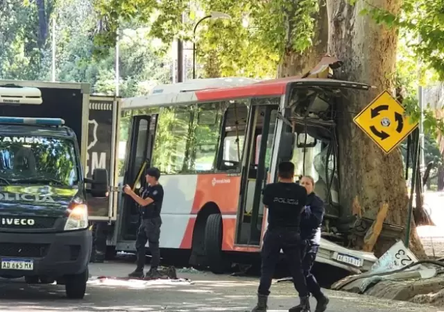 Tragedia en el parque San Mart�n: dolor por el chofer fallecido.