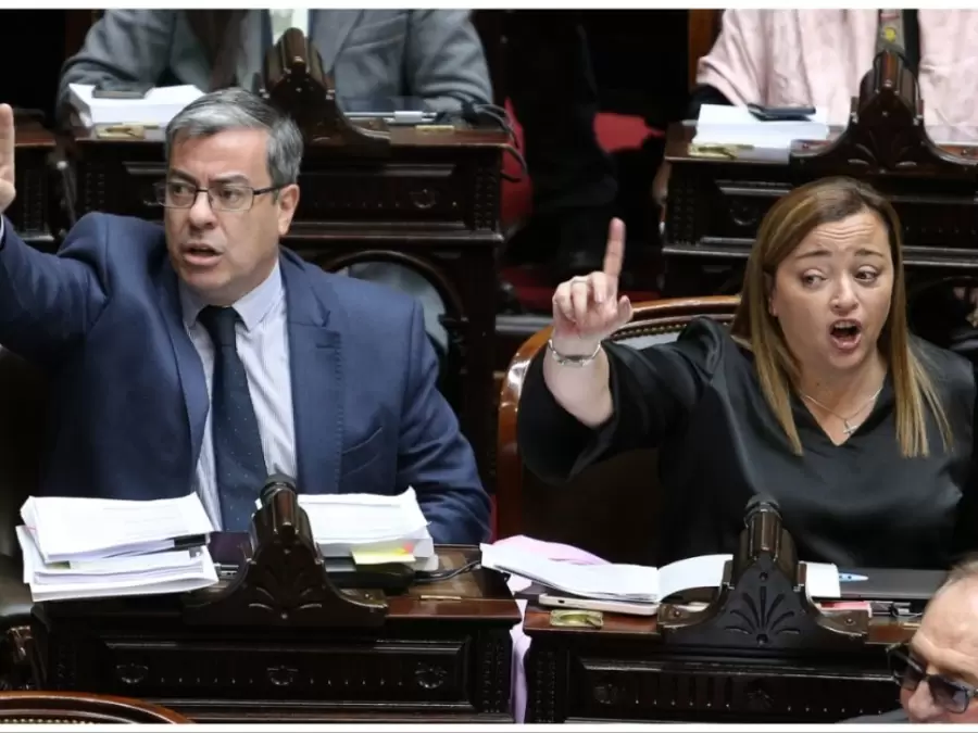 El bloque de Unión por la Patria es uno de los que trata de que el Gobierno no logre sus propósitos