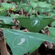Aborto legal: obligan al Gobierno provincial a informar sobre la implementaci�n de la ley